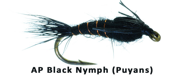 AP Black nymph (Puyans) - Flytackle NZ