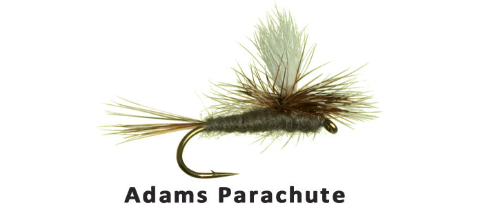 Parachute Adams - Flytackle NZ
