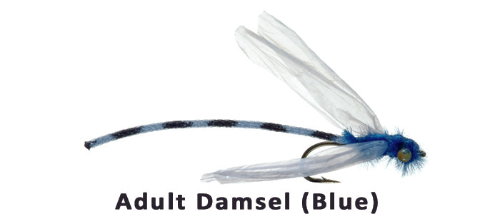 Adult Damsel (blue) #14 - Flytackle NZ