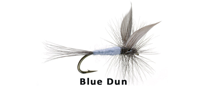 Blue Dun - Flytackle NZ