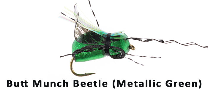 Butt Munch Beetle - Flytackle NZ