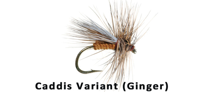 Caddis Variant (ginger) - Flytackle NZ