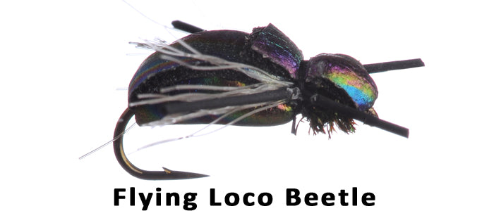 Flying Loco Beetle #14 - Flytackle NZ