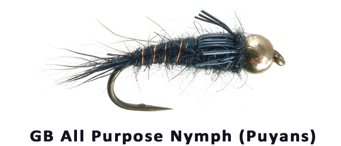 GB AP Black nymph (Puyans) - Flytackle NZ