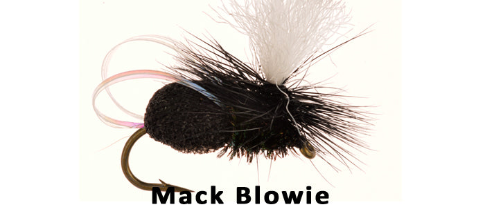 Mack Blowie (blue bottle) - Flytackle NZ