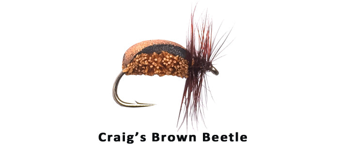 Craig's Brown Beetle #14 - Flytackle NZ