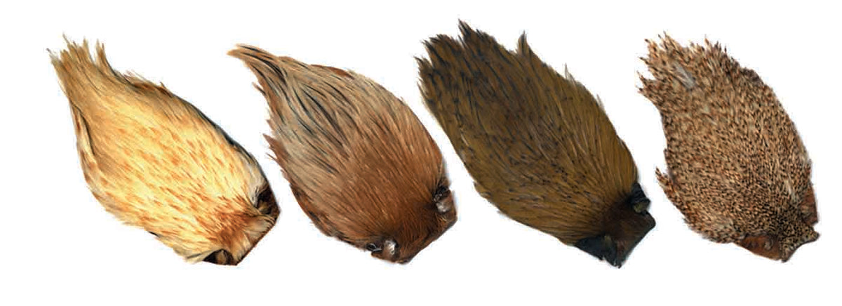 Hackles and feathers – Tagged