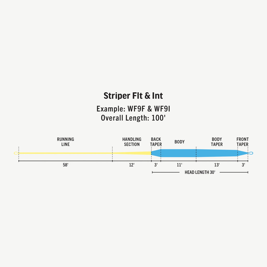 RIO Striper 30ft Sink Tip Fly Line - Flytackle NZ