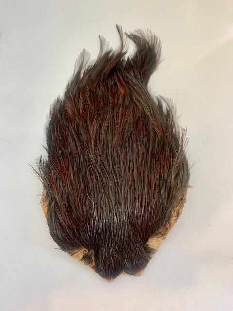 Wapsi Dry Fly Rooster Neck #A Grade - Flytackle NZ