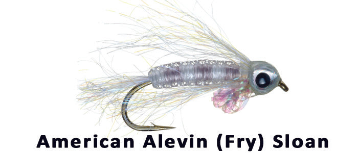 American Alevin (Fry) Sloan #10 - Flytackle NZ