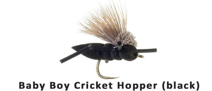 Baby Boy Cricket #12 - Flytackle NZ