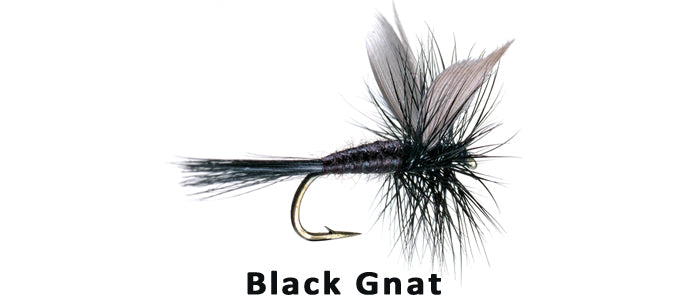 Black Gnat - Flytackle NZ