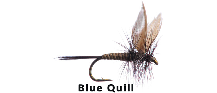 Blue Quill - Flytackle NZ