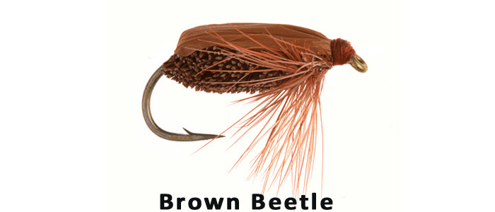 Brown Beetle - Flytackle NZ