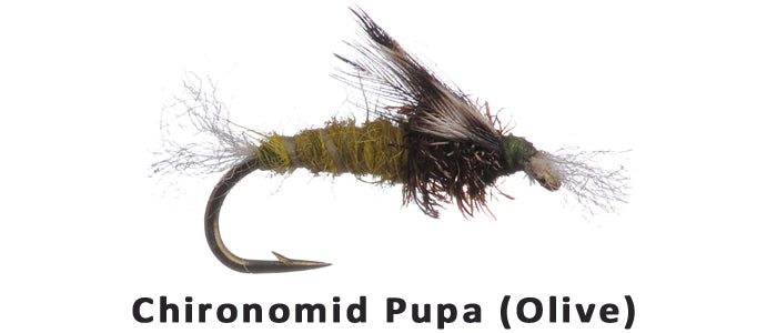Chironomid Pupa (Olive) #16 BL - Flytackle NZ