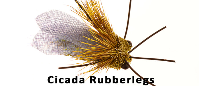 Cicada Rubberlegs - Flytackle NZ