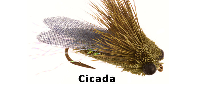 Cicada - Flytackle NZ