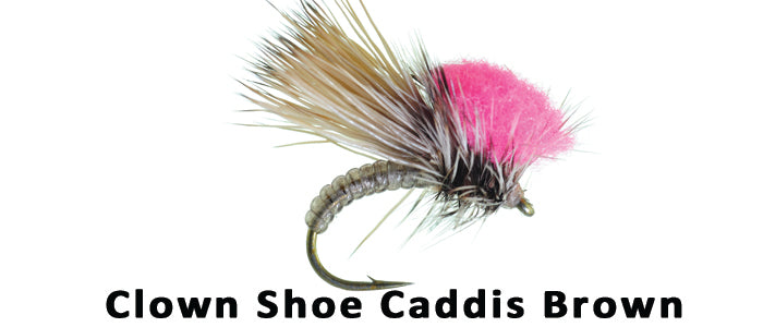 Clown Shoe Caddis (brown) #16 - Flytackle NZ