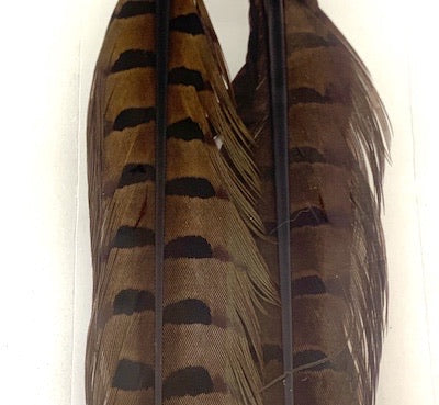 Wapsi Pheasant Tail Feathers Pair - Flytackle NZ