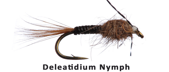 Deleatidium Nymph - Flytackle NZ