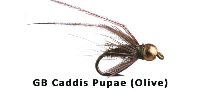 GB Caddis Pupa (Olive) #14 - Flytackle NZ