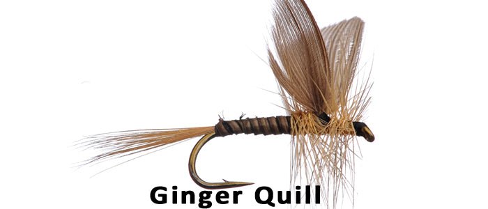 Ginger Quill - Flytackle NZ