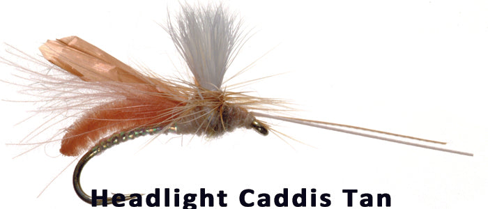 Headlight Caddis (tan) #14 - Flytackle NZ