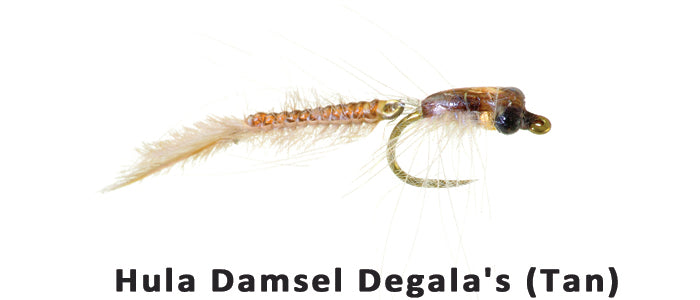 Hula Damsel Degala's (Tan) #16 - Flytackle NZ