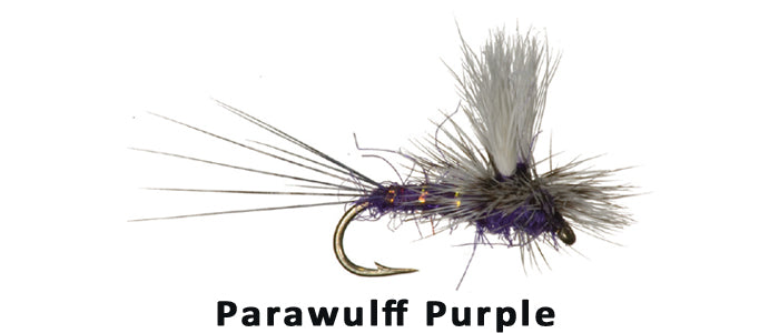 Para Wulff Purple - Flytackle NZ