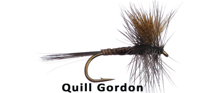 Quill Gordon - Flytackle NZ