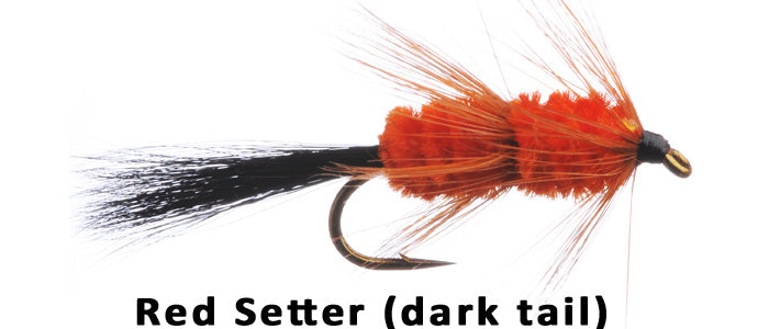 Red Setter (dark tail) #8 - Flytackle NZ