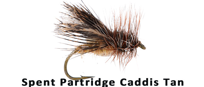 Spent Partridge Caddis - Flytackle NZ