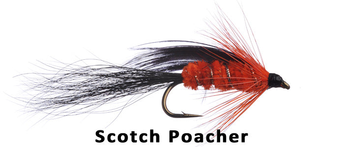 Scotch Poacher - Flytackle NZ