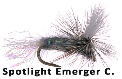 Spotlight Emerger Callibaetis #16 - Flytackle NZ