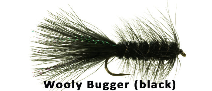 Wooly Bugger (Black) - Flytackle NZ