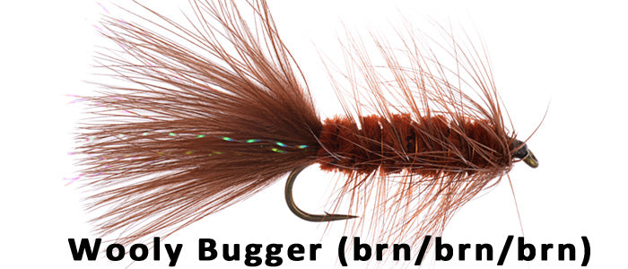Wooly Bugger (Brown) - Flytackle NZ