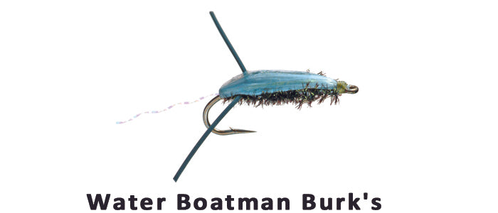 Water Boatman Burks #12 - Flytackle NZ