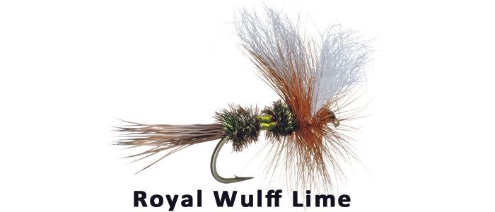 Royal Wulff Lime - Flytackle NZ
