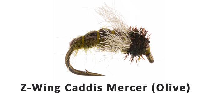 Z-Wing Caddis Mercer (Olive) #14 - Flytackle NZ