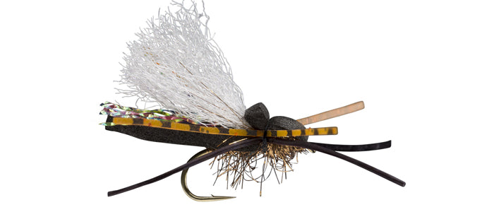 Flat Head Cicada - Flytackle NZ