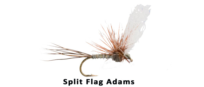 Split Flag Adams #16 - Flytackle NZ